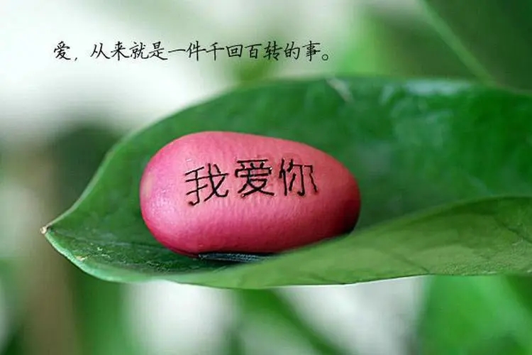 爱情相思甜蜜句子文案短句