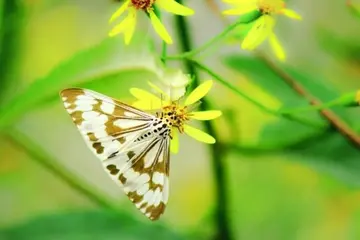精致生活的短小句子文案
