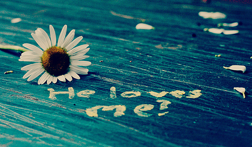 高冷很拽的霸气说说文案