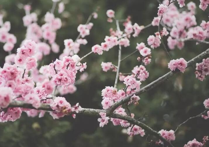 等人归来的优美诗词