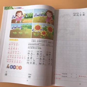 语文好词好句文案好段摘抄大全