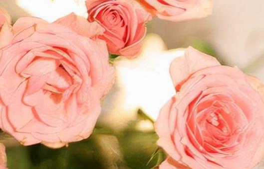 有意境的旅行句子文案简短