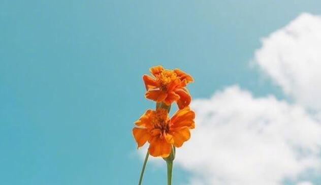 下午好正能量短句