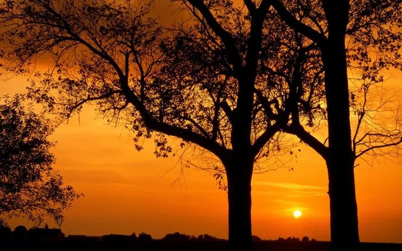 关于黄昏的唯美句子文案