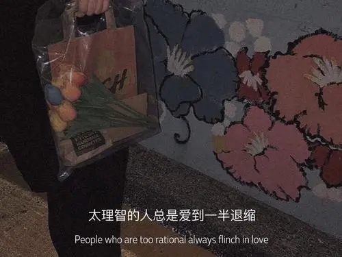 2024年抖音最美的句子文案