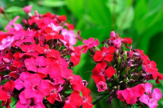 朋友要走了送别的句子文案