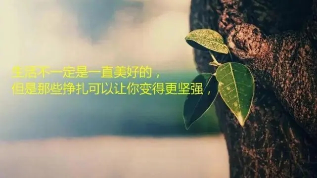 忙碌一天的心情说说文案