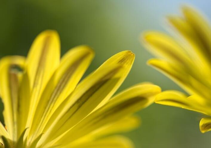 充满正能量努力奋斗的句子文案