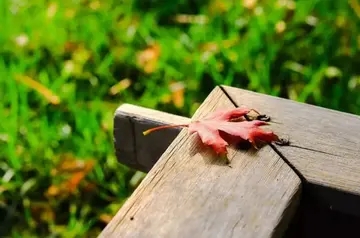 适合每天打卡的句子文案