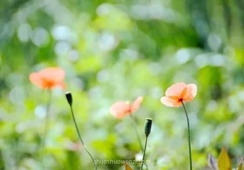 月底冲业绩的朋友圈怎么编辑?