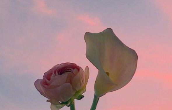 暗恋伤感的句子文案