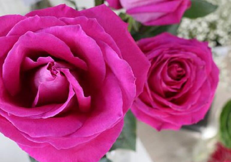 祝贺词事业成功