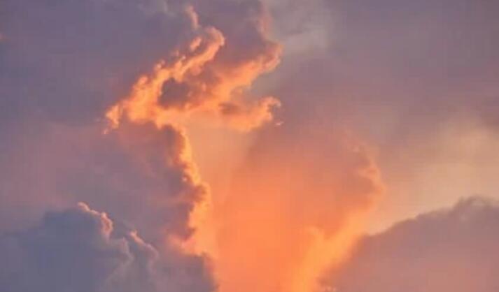 人这一生有太多的无奈和心酸说说文案