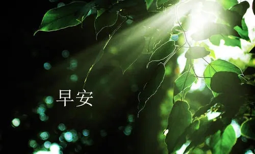 销售早安心语正能量