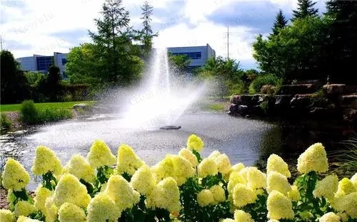 2024年最幸福的一句话