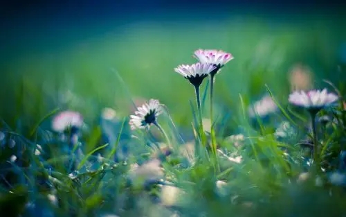 唯美简短的句子文案六个字