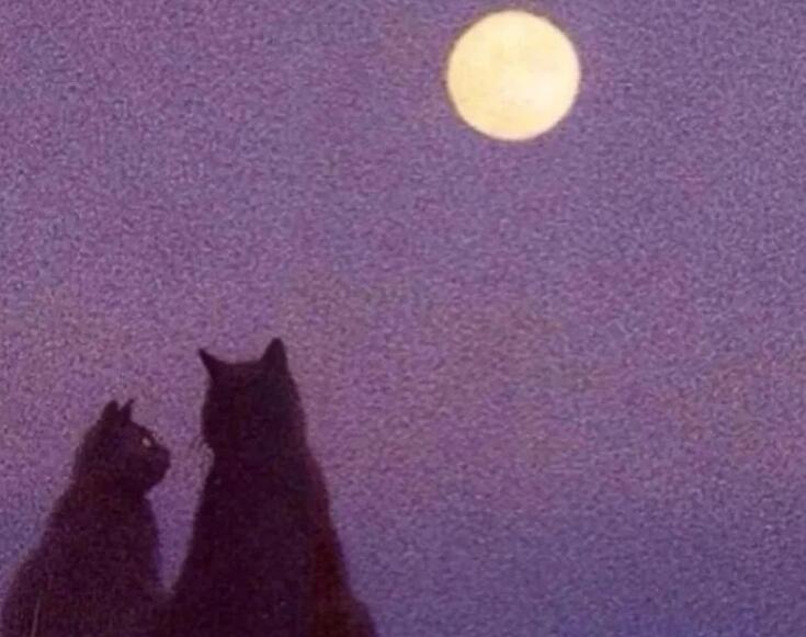 描写月亮的优美语段