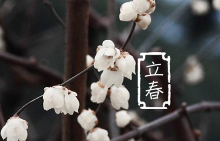 关于立春的优美句子文案