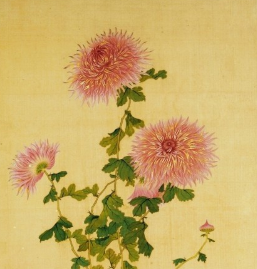 很美的句子文案说说