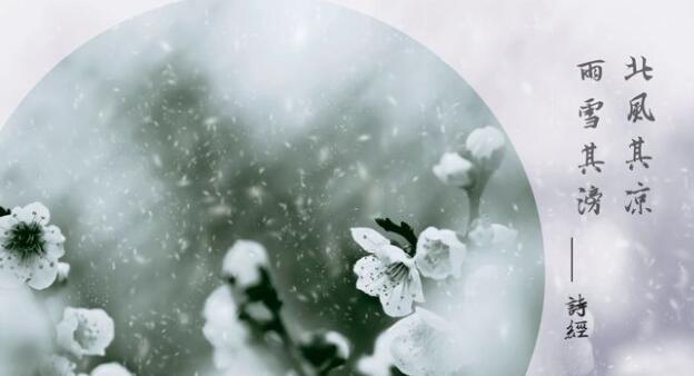 诗经里失望心冷的句子文案