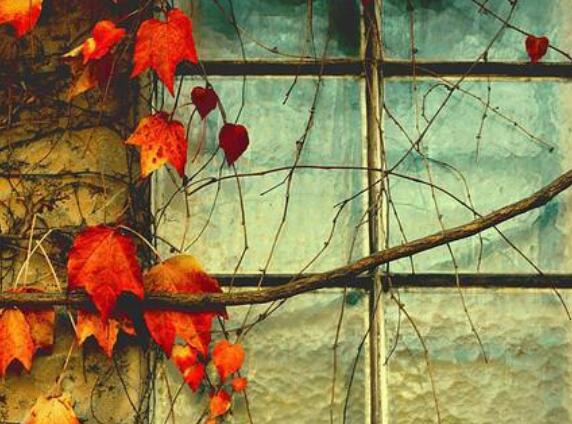 为了生活不容易的短句子文案