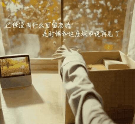 对一座城市的留恋短句