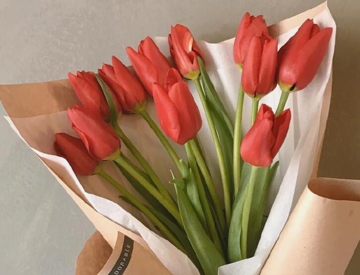 发早上好的句子文案