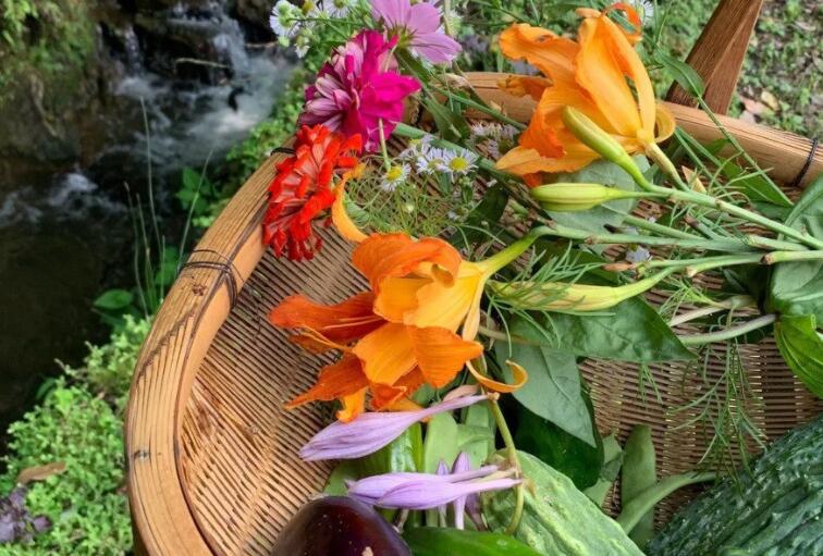 心灵鸡汤励志语录文案短句