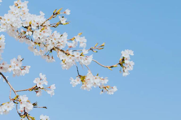 尊重的句子文案