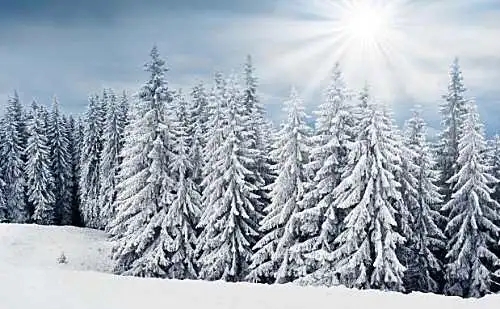 摘抄描写冬天美景的句子文案