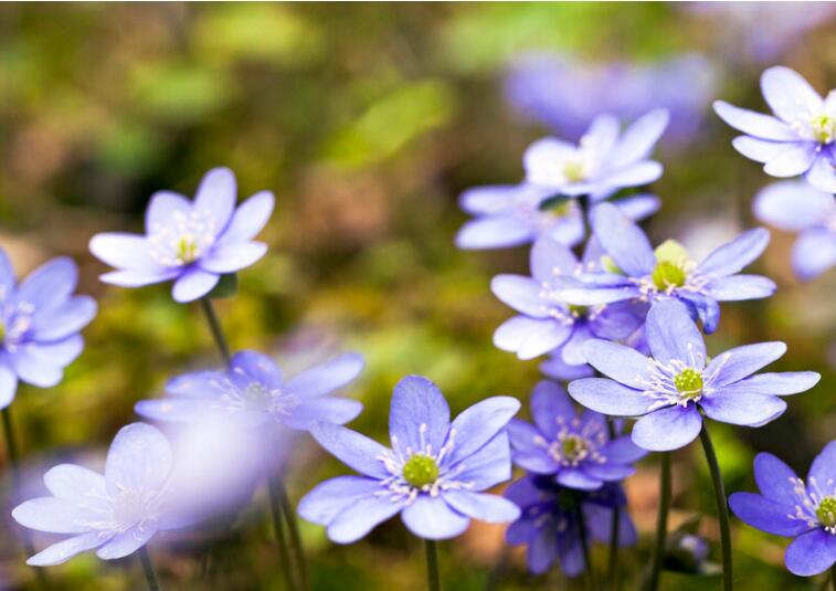 积极运动的优美句子文案