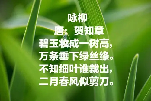 关于季节和月份的诗词