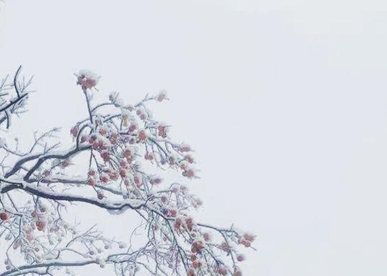 描写冬天山上的景色的句子文案