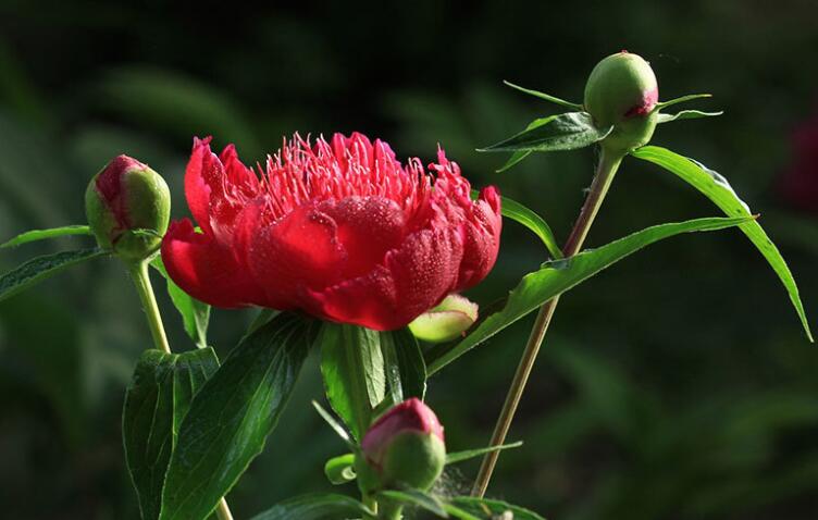 积累的经典语录文案