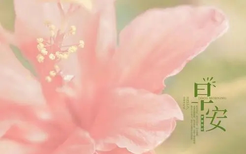 2021早上好最新问候语