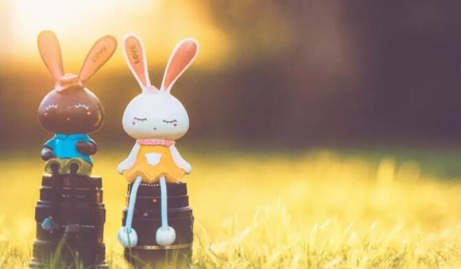 关于信任的唯美句子文案