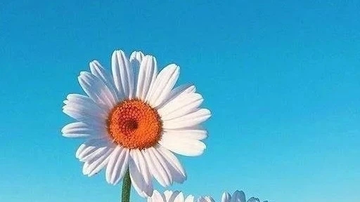 女生朋友圈短句