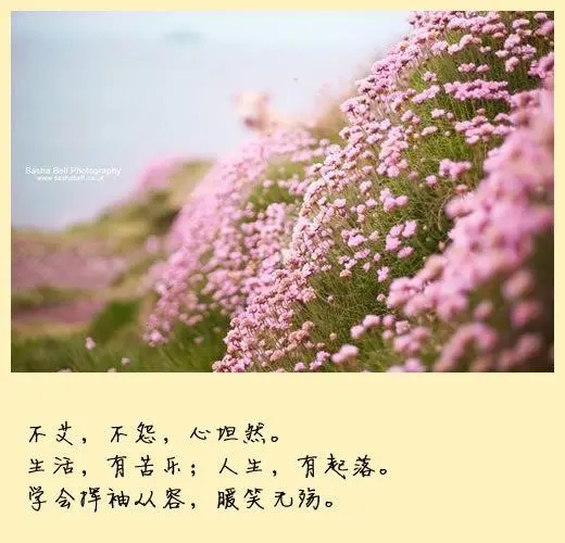 美文欣赏广播稿