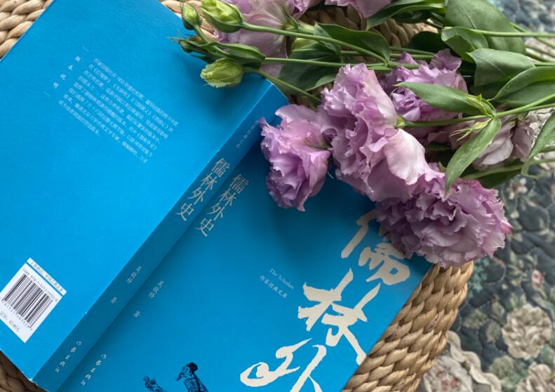 儒林外史读书笔记摘抄