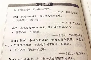 练字的名言名句文案