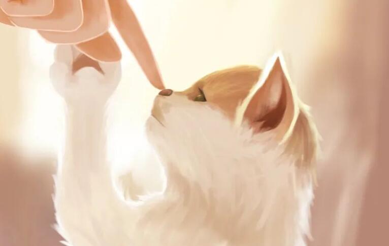 温柔到让人心疼的句子文案