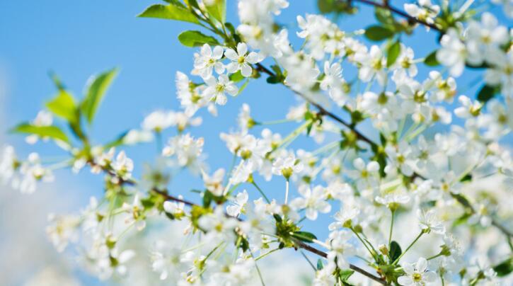 有感触的现实句子文案