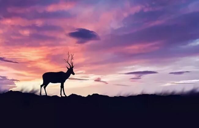 拼搏的句子文案经典语录