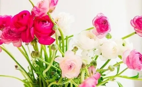 贵人祝福语简短独特