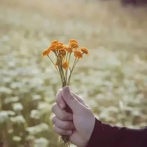 简短朋友圈最经典