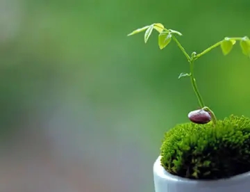 表示对朋友祝福的短句