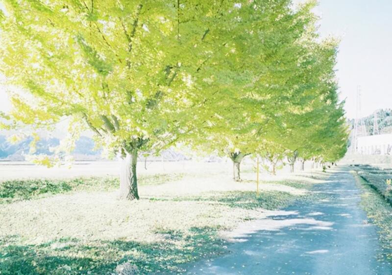 关于人生哲学的短句子文案