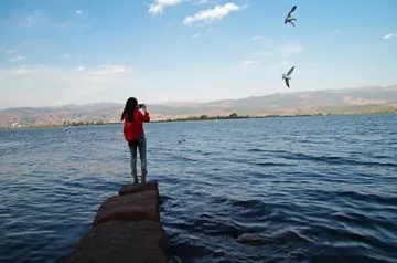 现在的一切刚刚好的经典语录文案