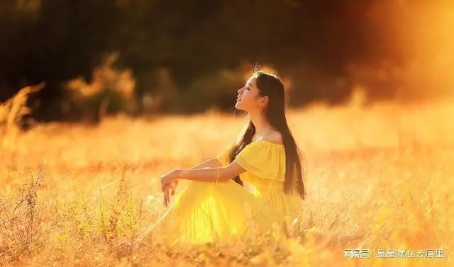 夸一部电影好看的句子文案