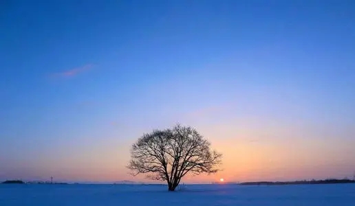 网红句子文案库